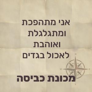 אני מתהפכת ומתגלגלת ואוהבת לאכול בגדים – מכונת כביסה!